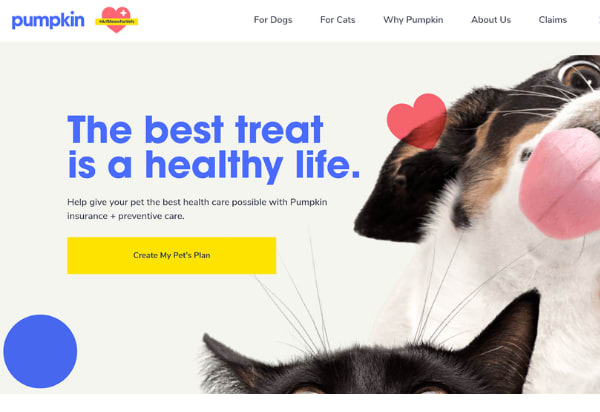 Pumpkin Pet Insurance Review 2024 | BestMoney.com